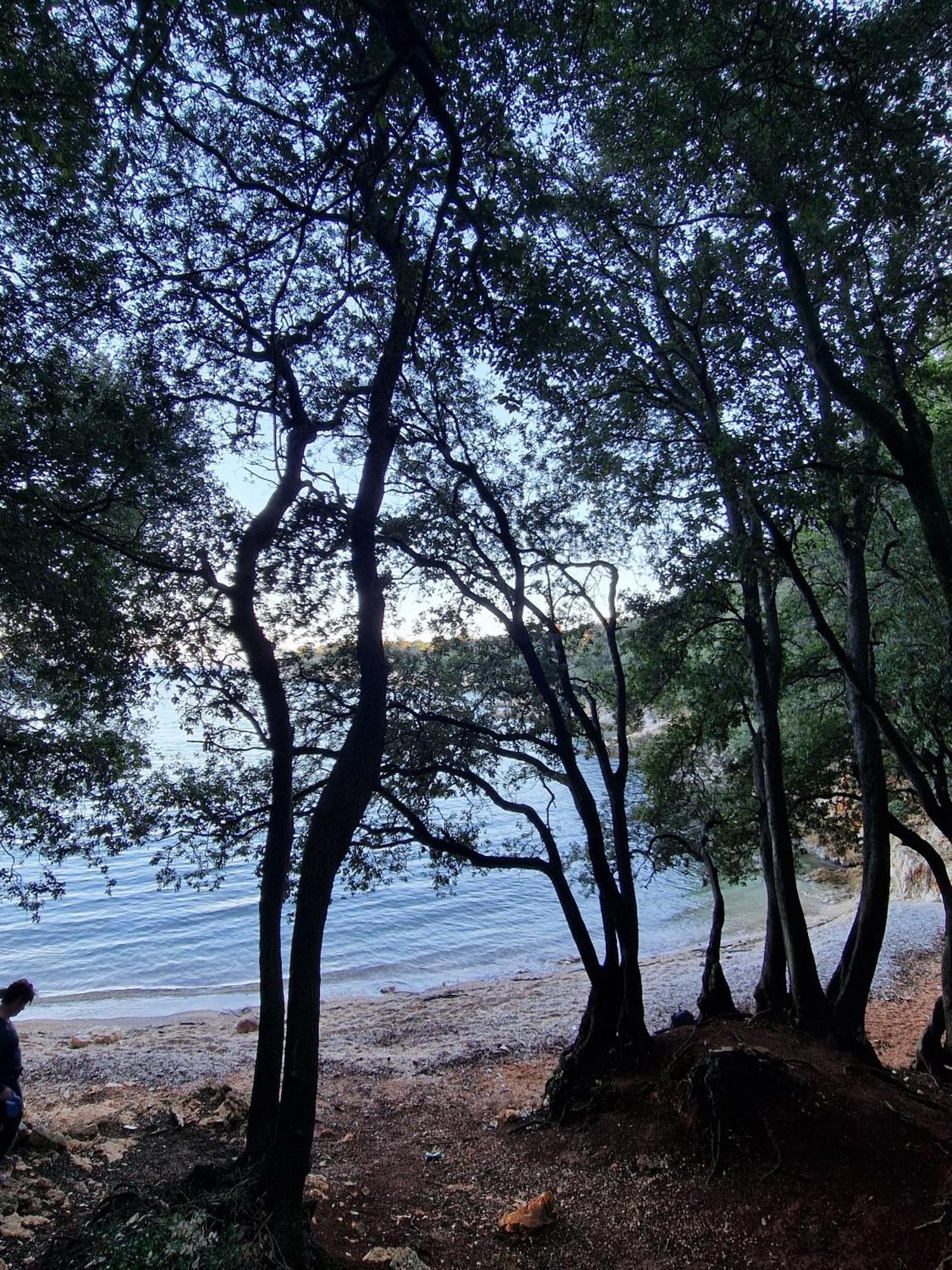 Istria Sea Side Apartment 210 & 209 Labin  Esterno foto